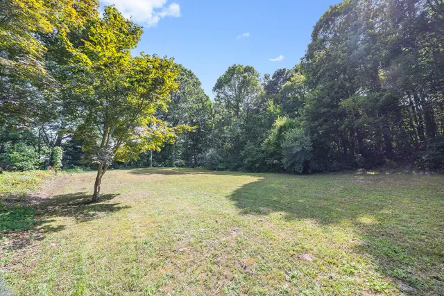 a fire hydrant in the middle of a yard