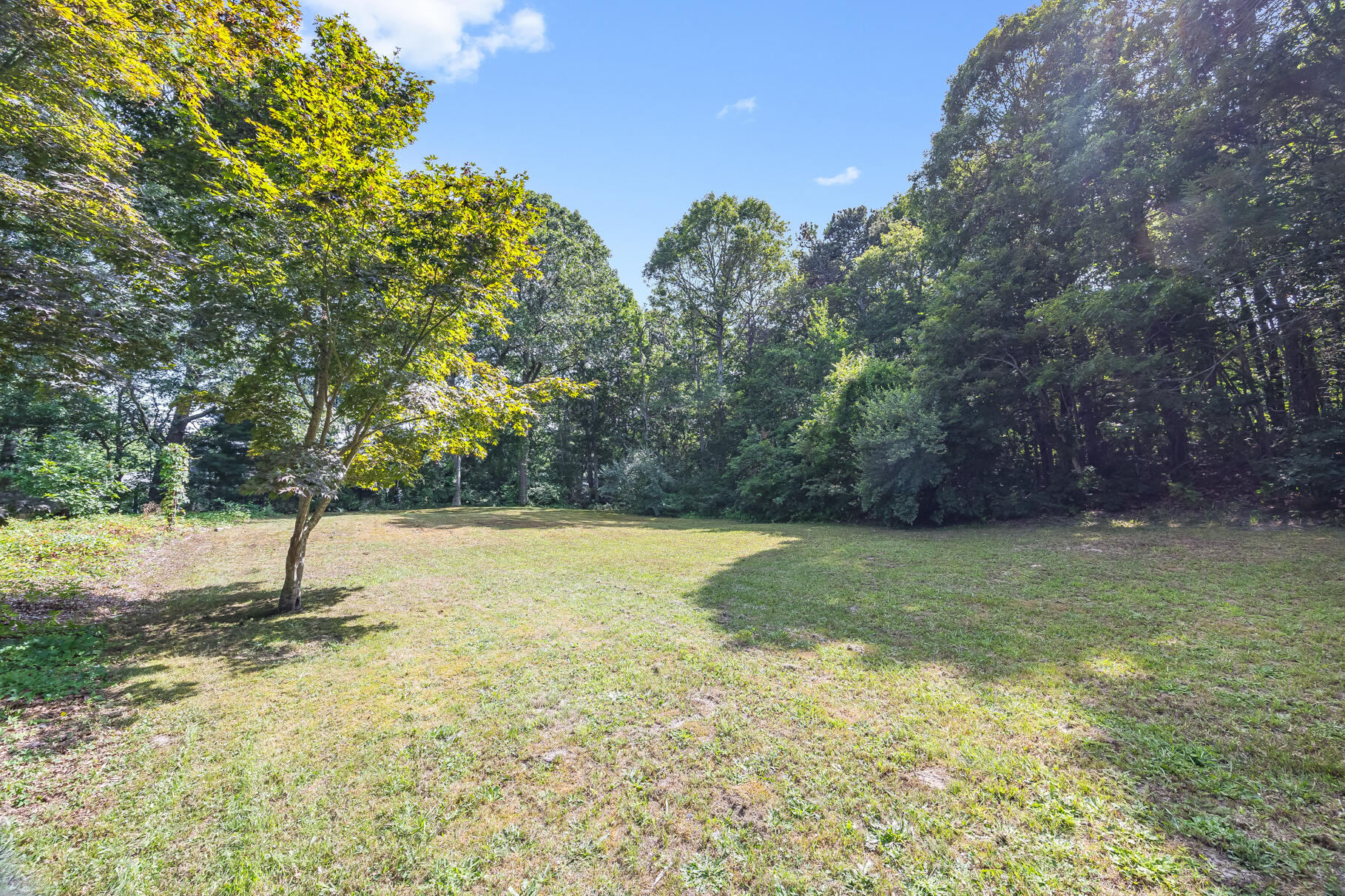 53 Great Oak Road Orleans, MA 02653 - Photo 43 of 53 a view of a yard with a tree