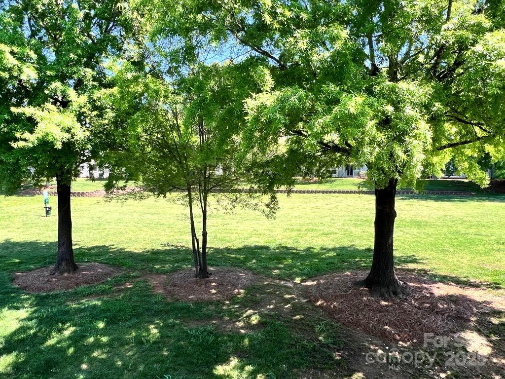 11015 Harrowfield Road Charlotte, NC 28226 - Photo 21 of 28 a view of a yard with an tree