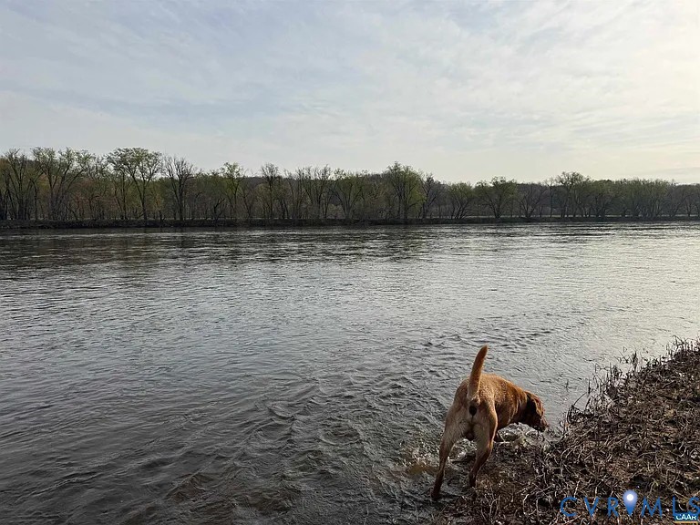 0 Paynes Pond Road Scottsville, VA 24590 - Photo 28 of 44