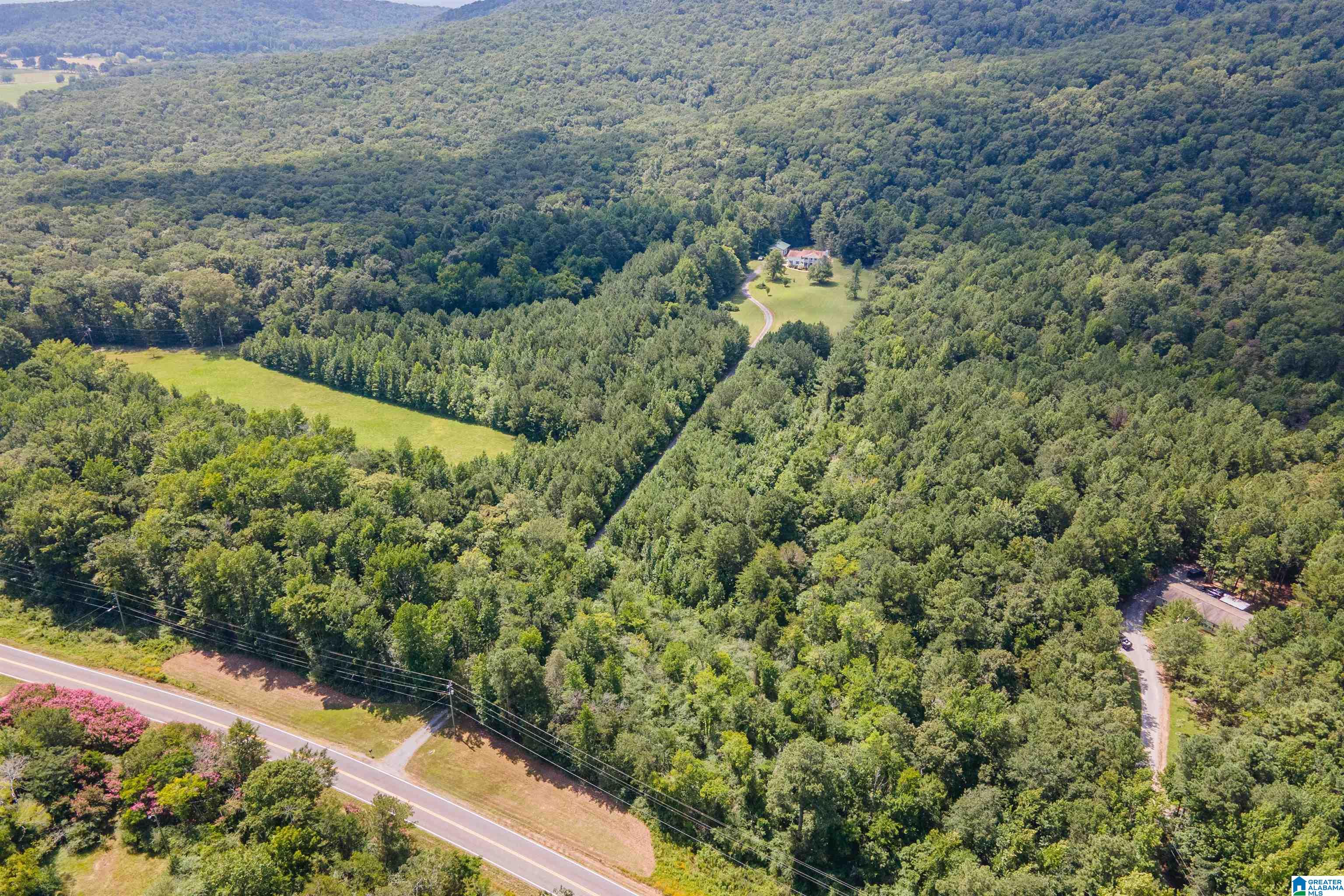 4557 County Road 9 Hayden, AL 35079 - Photo 62 of 66