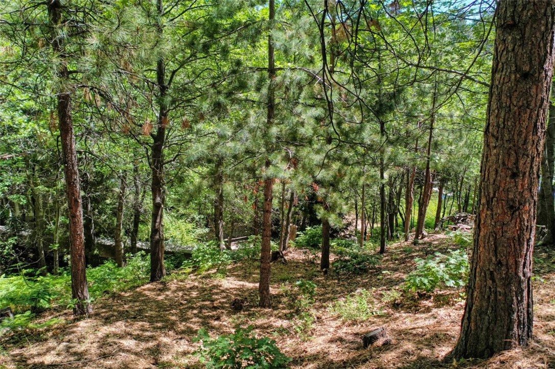 27457 North Bay Road Lake Arrowhead, CA 92352 - Photo 14 of 15 Gallery Image 14