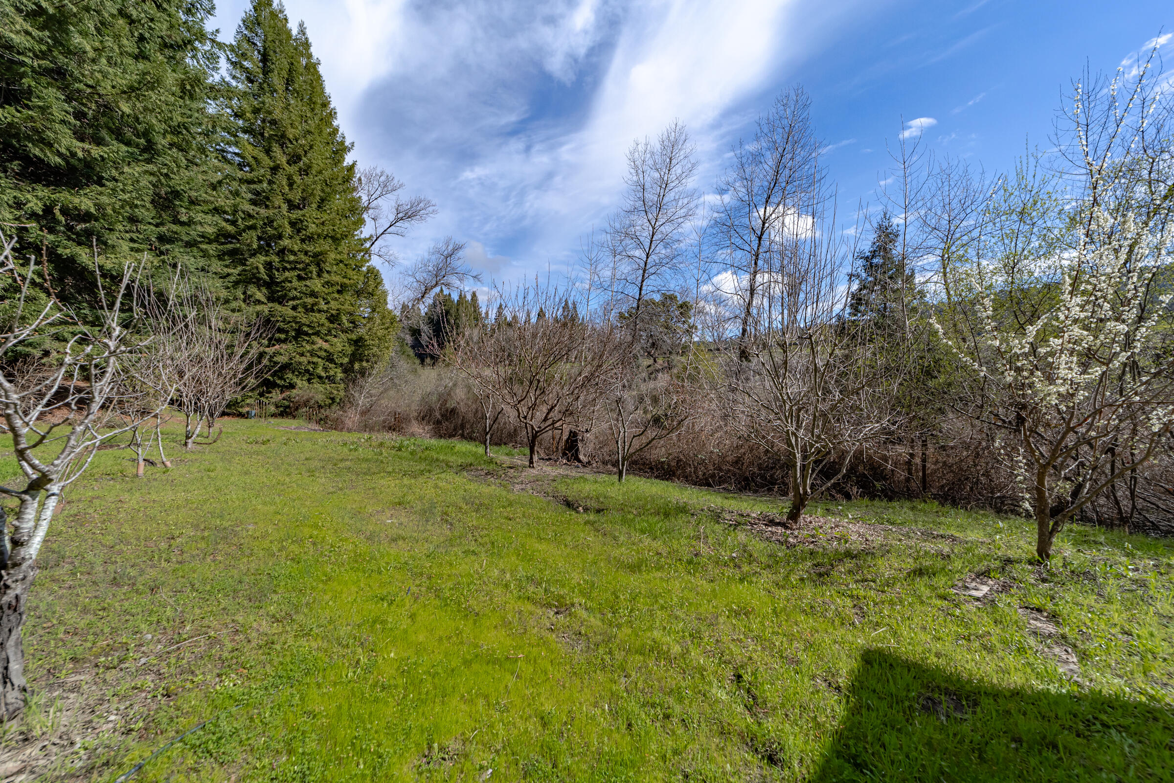 2375 Salmon Creek Road Miranda, CA 95553 - Photo 36 of 37