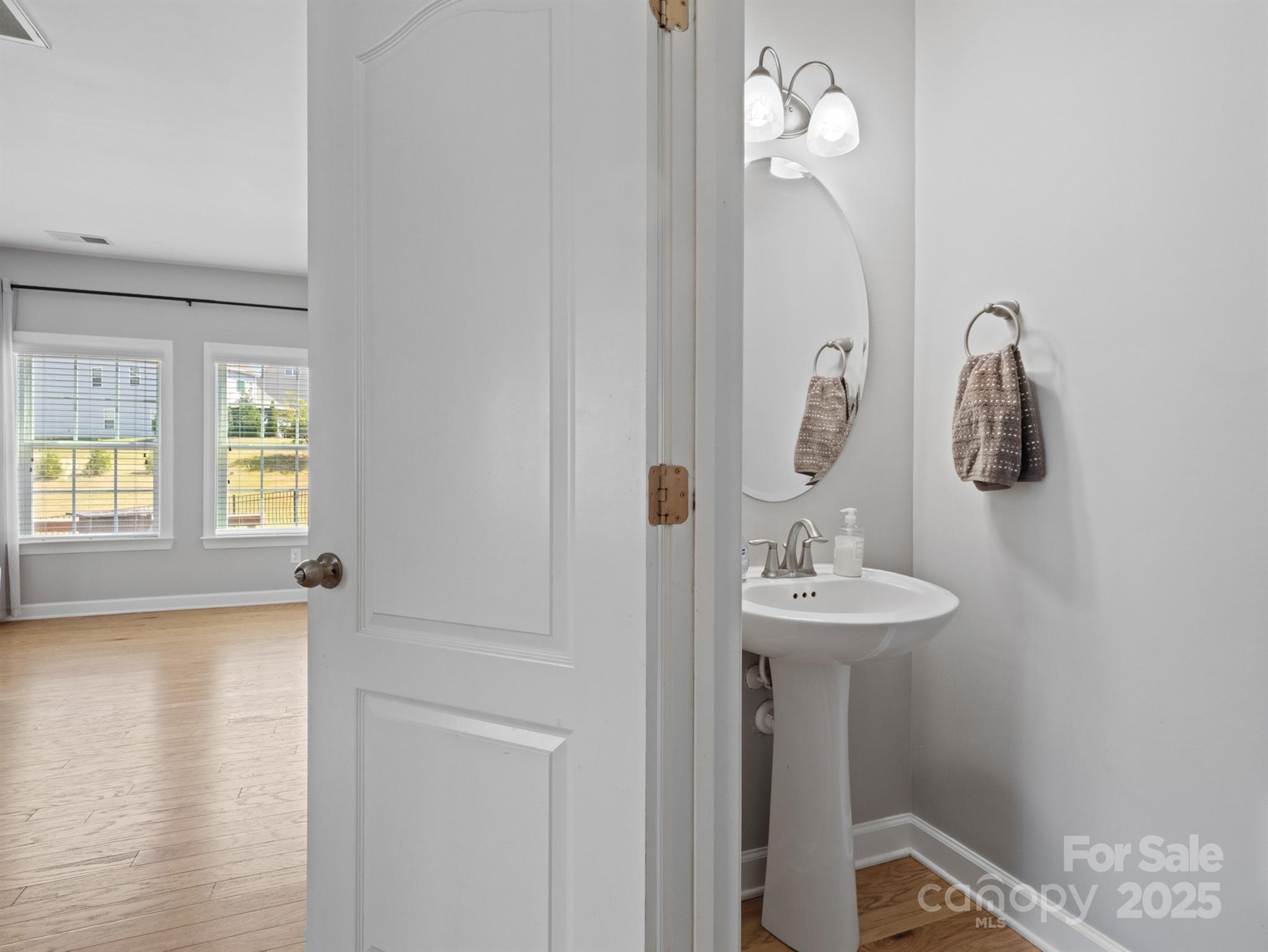 1982 Smokey Quartz Road Davidson, NC 28036 - Photo 15 of 43 a bathroom with a sink and a mirror