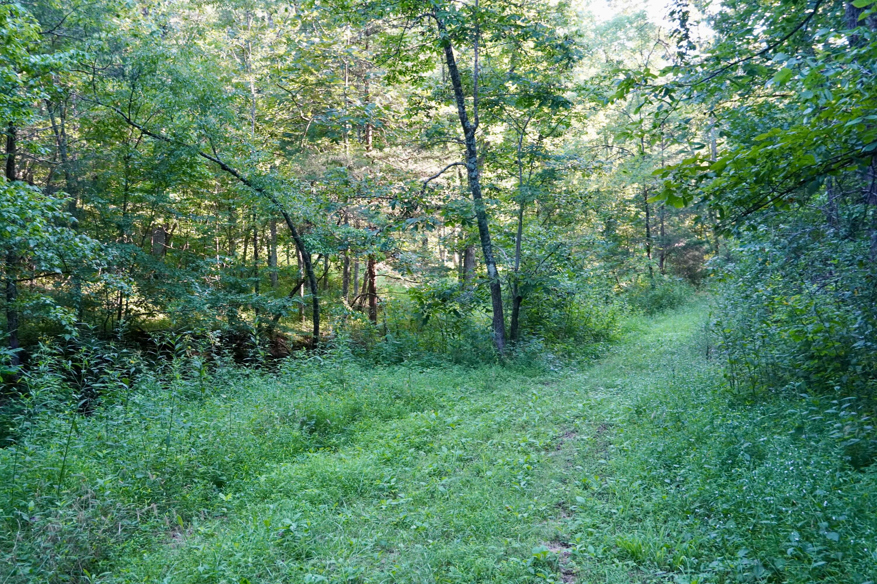 6265 Georgetown Road Owenton, KY 40359 - Photo 45 of 149 OWEN24071