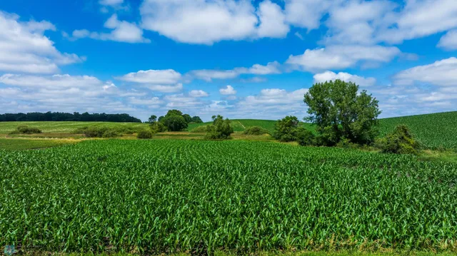 $1 | Tbd Tbd 370th Street, Pelican Rapids, MN 56572