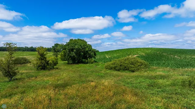 $1 | Tbd Tbd 370th Street, Pelican Rapids, MN 56572