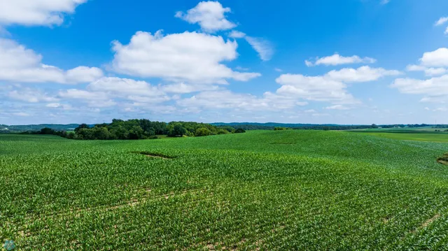 $1 | Tbd Tbd 370th Street, Pelican Rapids, MN 56572