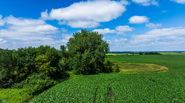 $1 | Tbd Tbd 370th Street, Pelican Rapids, MN 56572