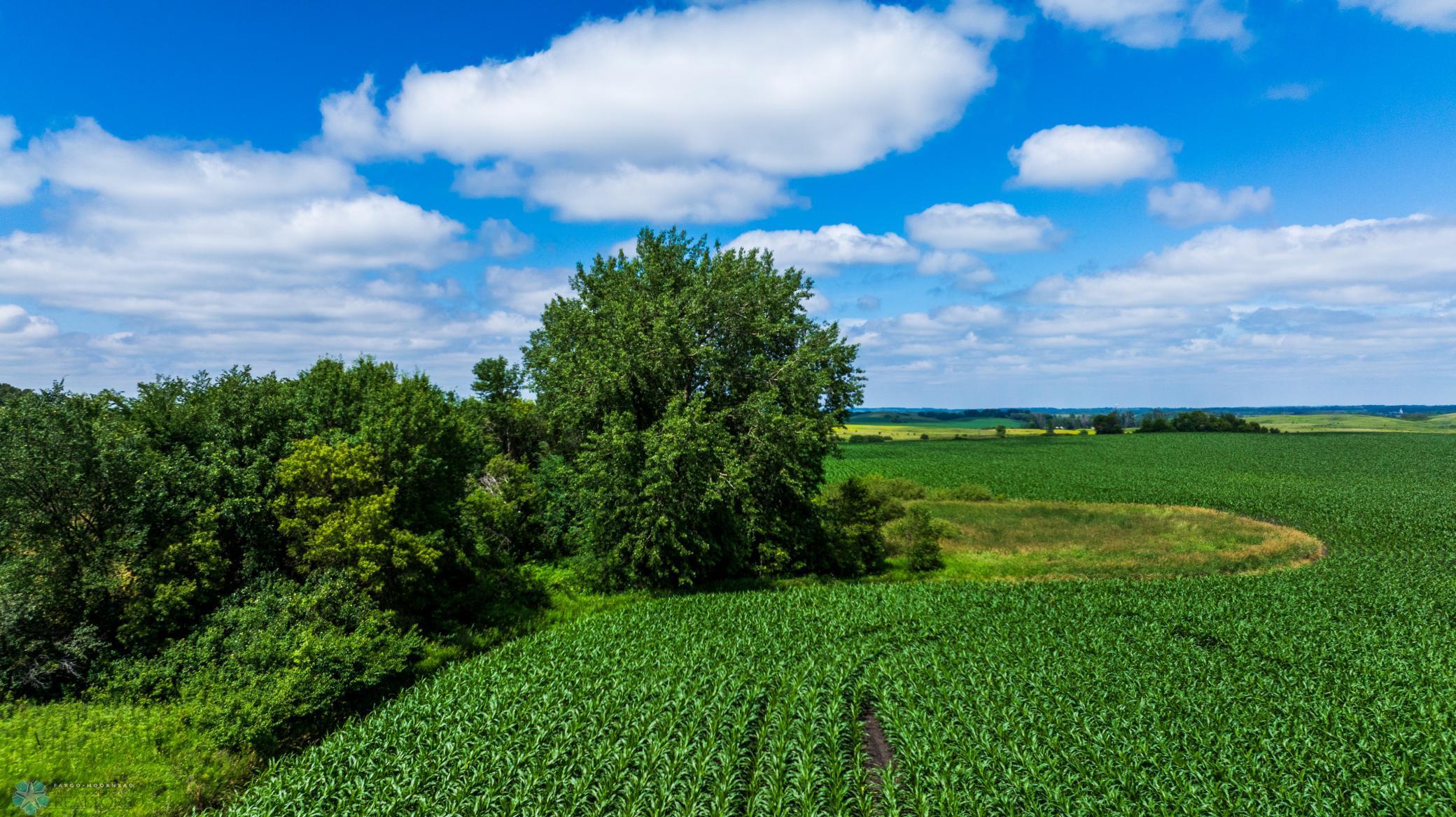 Tbd 370th Street Pelican Rapids, MN 56572 - Photo 16 of 64