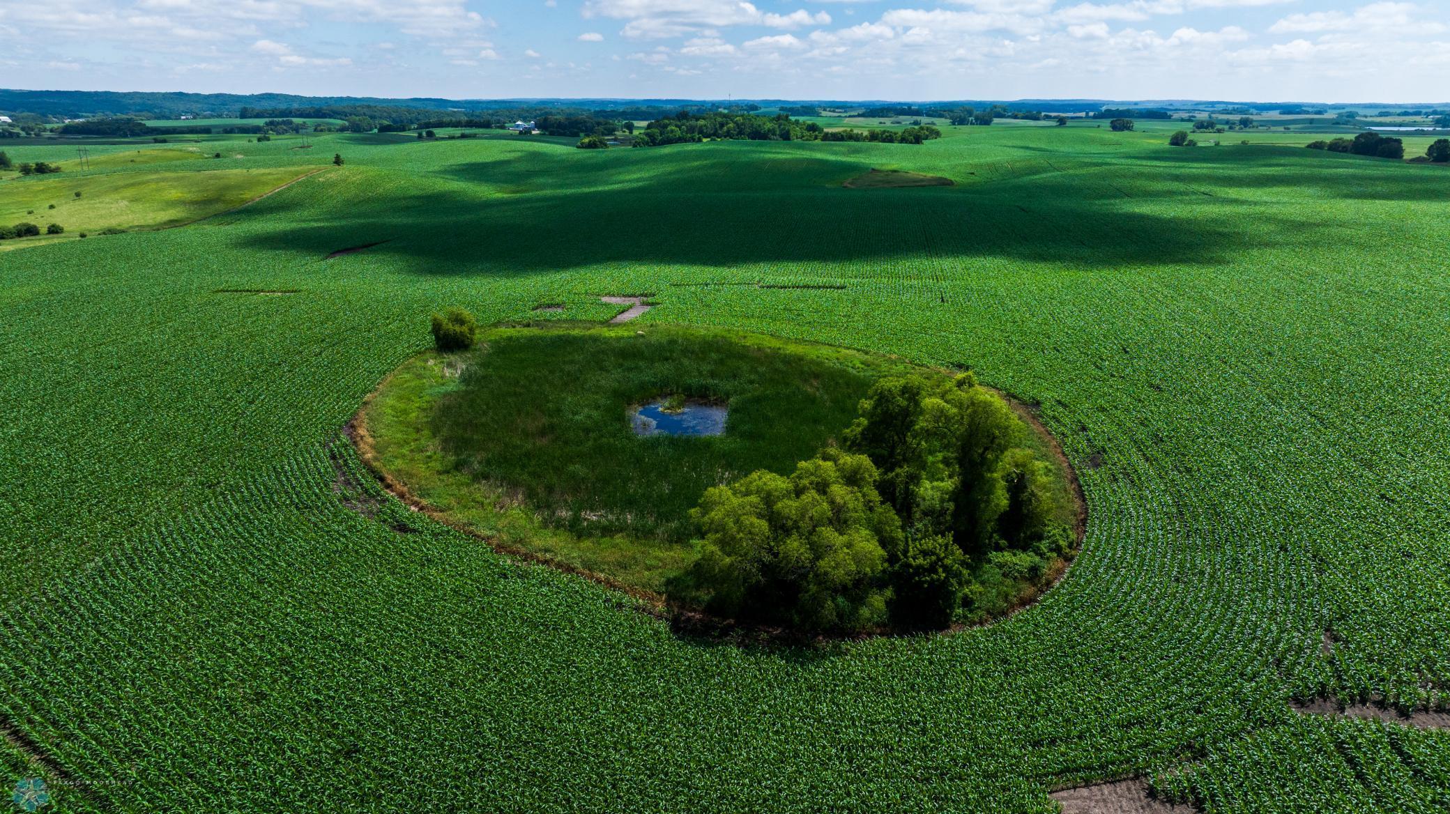 Tbd 370th Street Pelican Rapids, MN 56572 - Photo 19 of 64