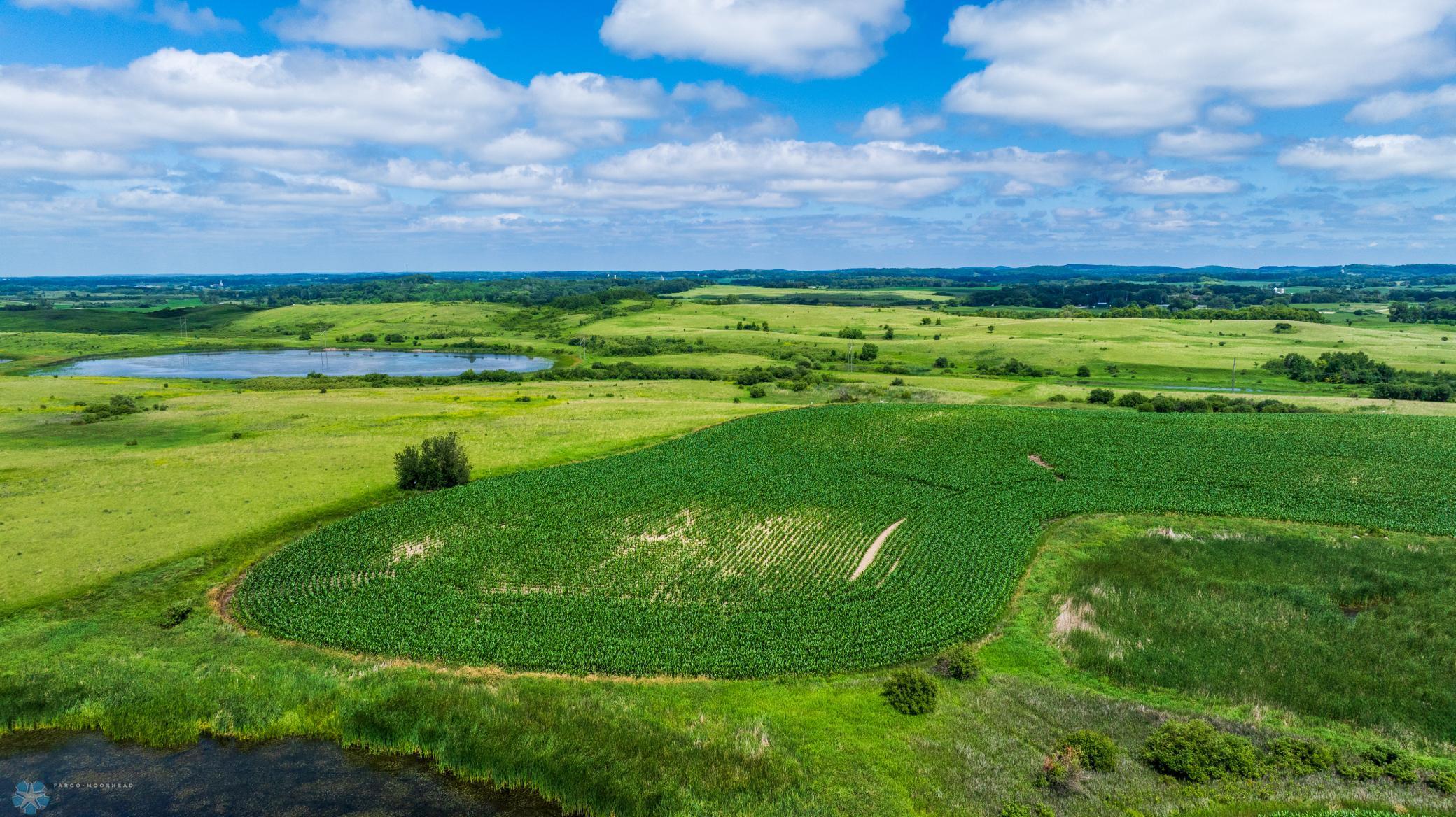 Tbd 370th Street Pelican Rapids, MN 56572 - Photo 21 of 64