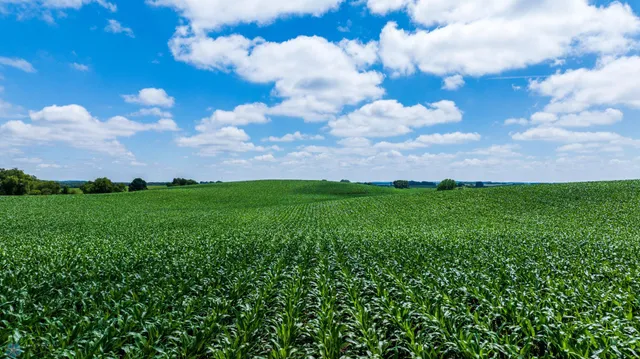 $1 | Tbd Tbd 370th Street, Pelican Rapids, MN 56572