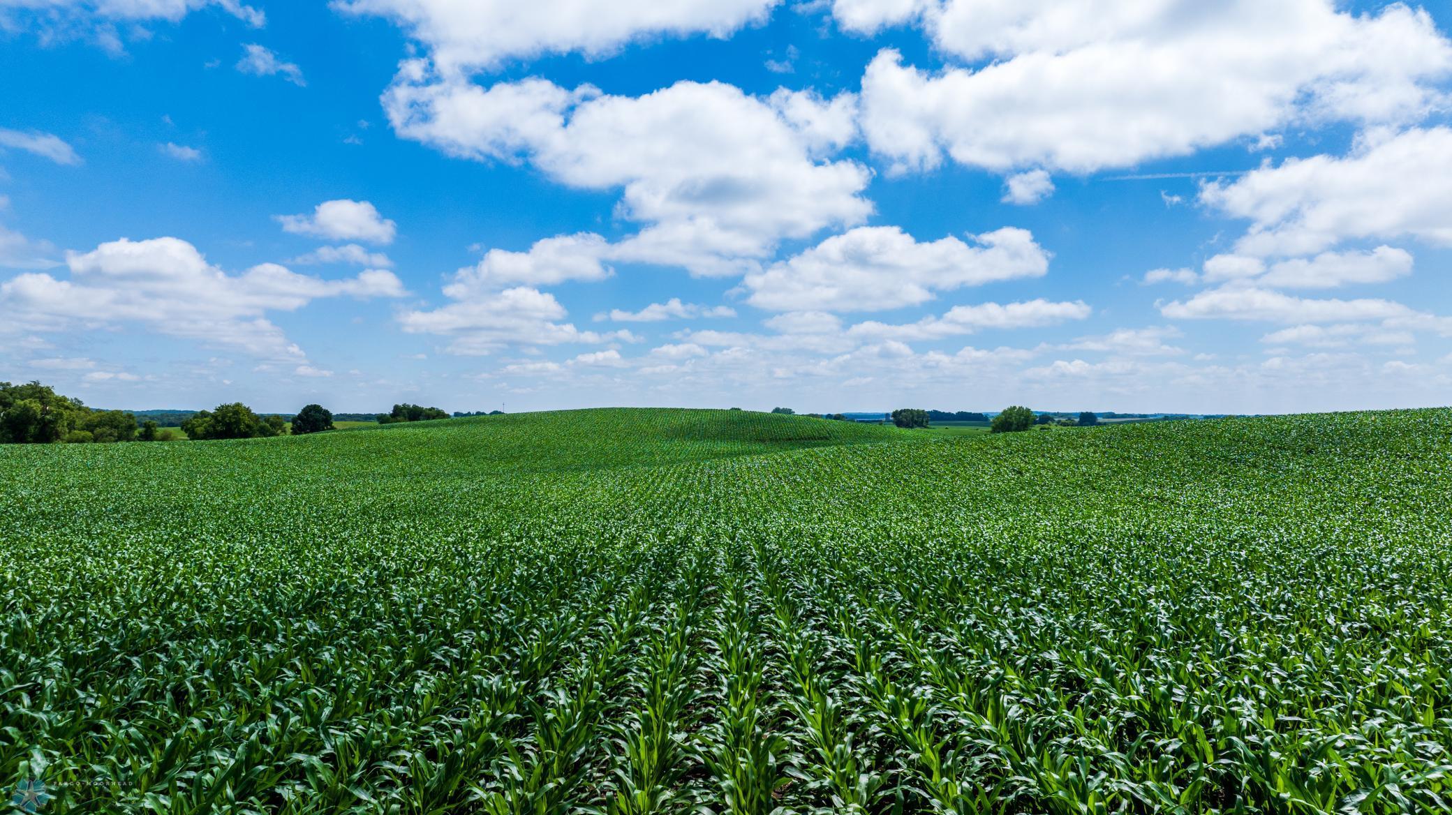 Tbd 370th Street Pelican Rapids, MN 56572 - Photo 24 of 64