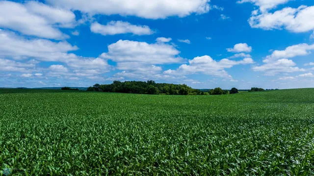 $1 | Tbd Tbd 370th Street, Pelican Rapids, MN 56572