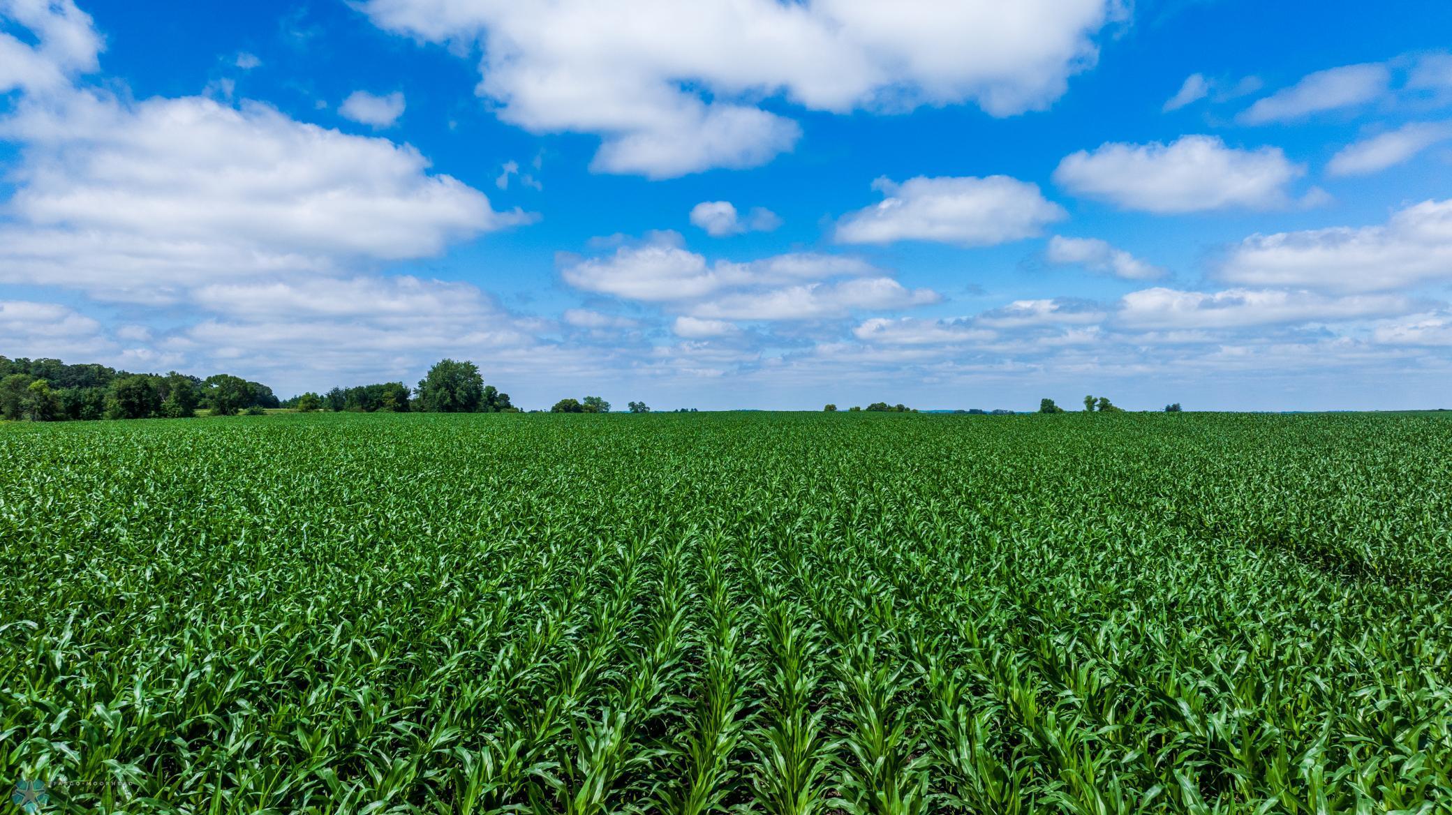 Tbd 370th Street Pelican Rapids, MN 56572 - Photo 26 of 64