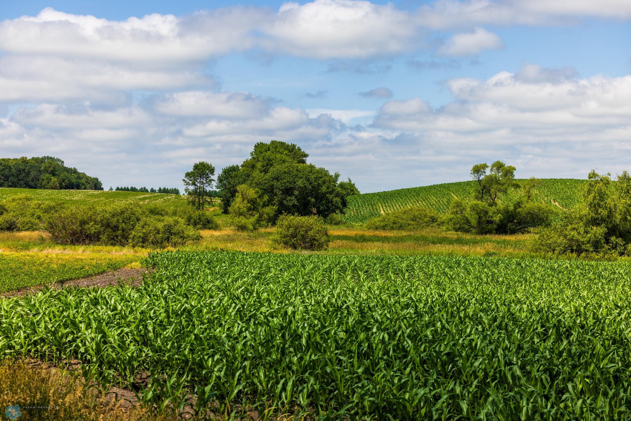 Tbd 370th Street Pelican Rapids, MN 56572 - Photo 3 of 64