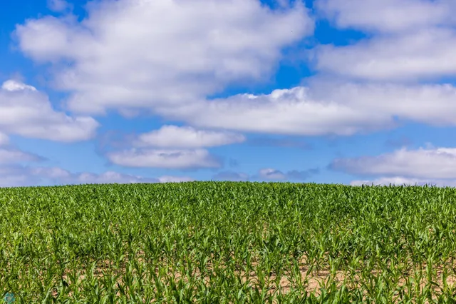 $1 | Tbd Tbd 370th Street, Pelican Rapids, MN 56572