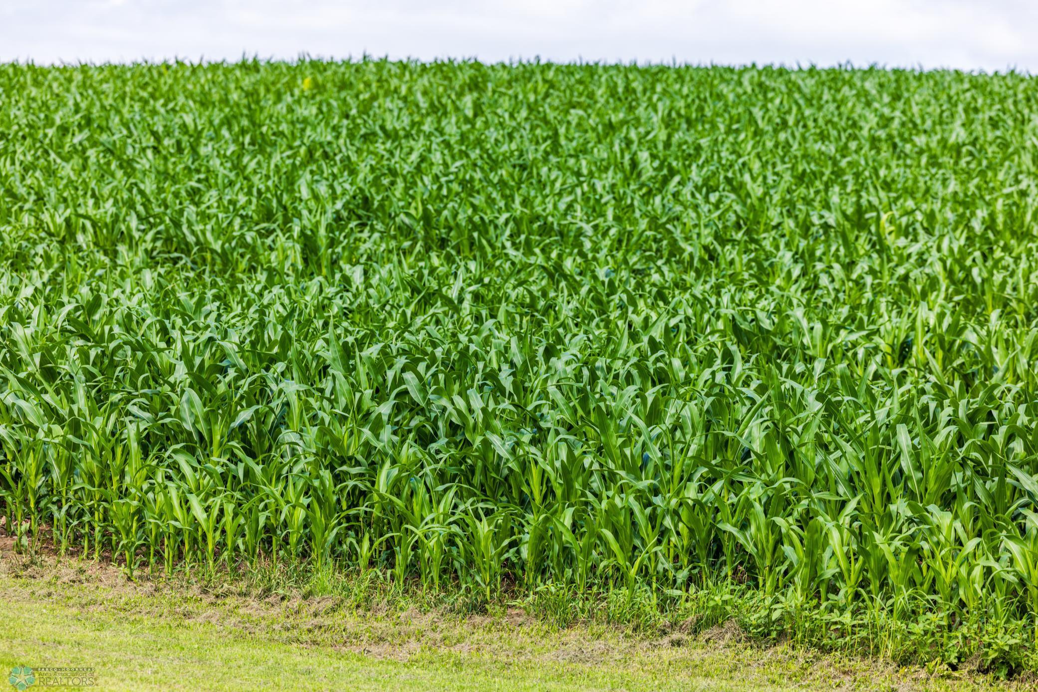 Tbd 370th Street Pelican Rapids, MN 56572 - Photo 36 of 64