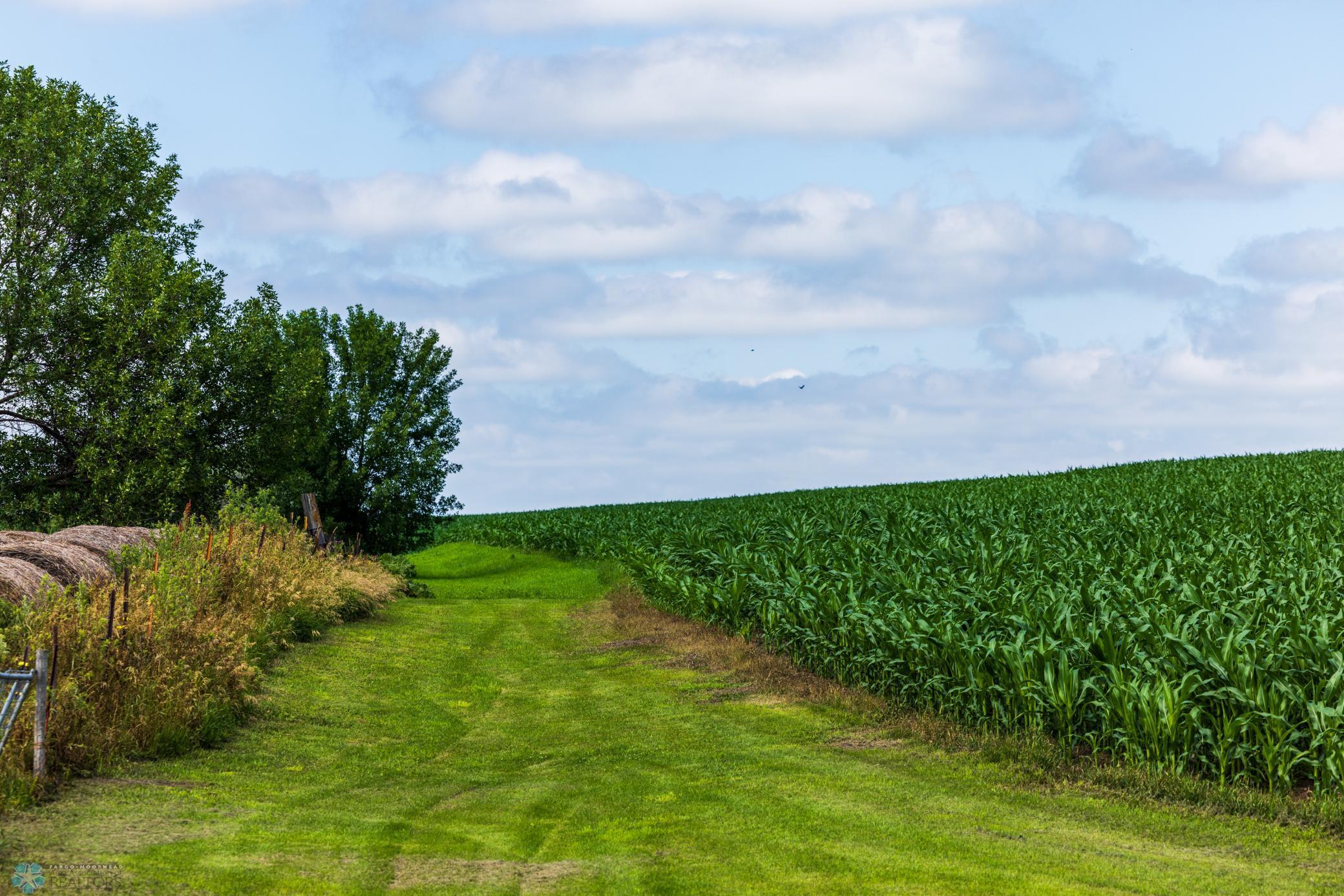 Tbd 370th Street Pelican Rapids, MN 56572 - Photo 37 of 64