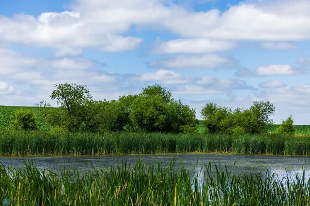 $1 | Tbd Tbd 370th Street, Pelican Rapids, MN 56572