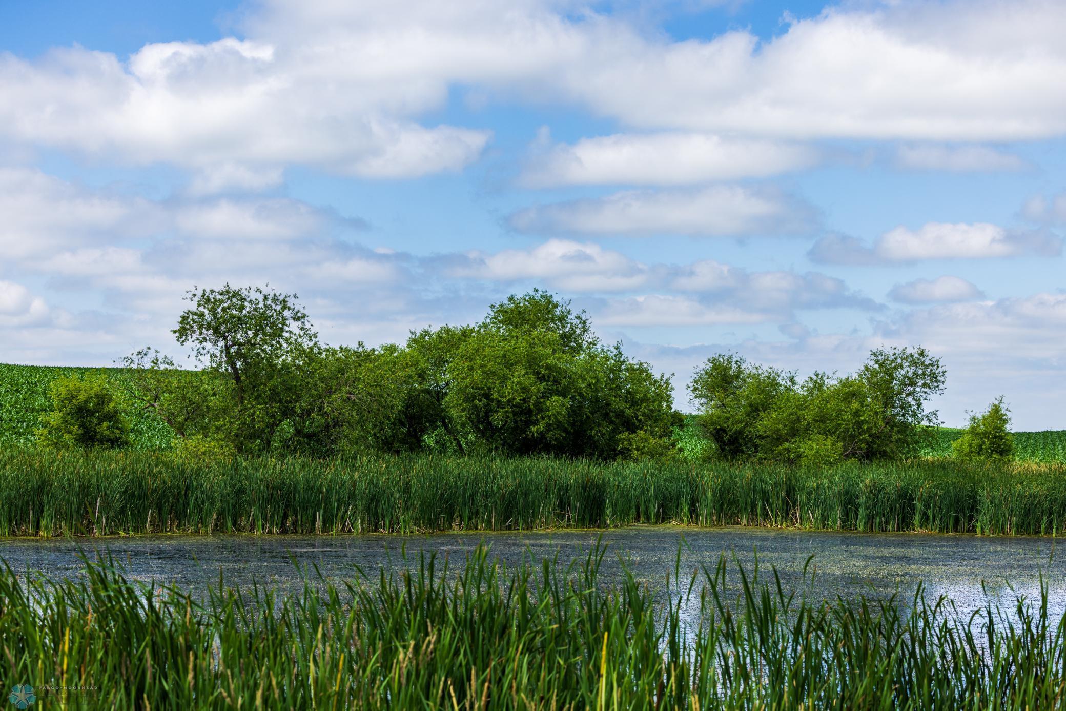 Tbd 370th Street Pelican Rapids, MN 56572 - Photo 38 of 64