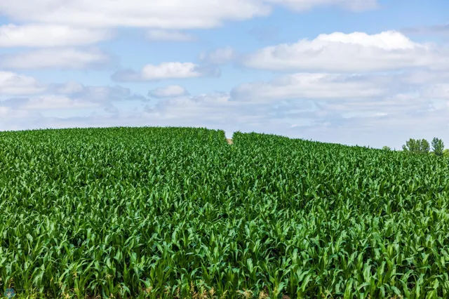 $1 | Tbd Tbd 370th Street, Pelican Rapids, MN 56572
