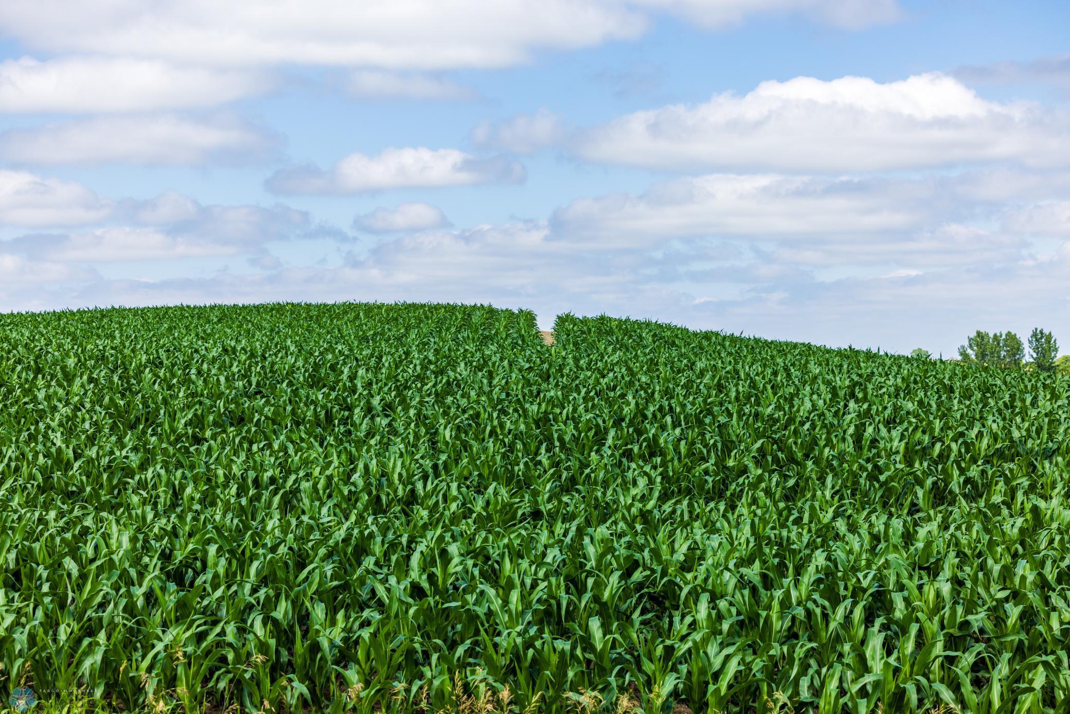 Tbd 370th Street Pelican Rapids, MN 56572 - Photo 39 of 64