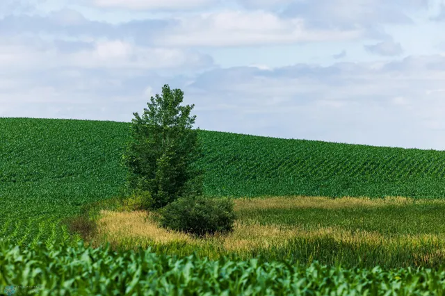 $1 | Tbd Tbd 370th Street, Pelican Rapids, MN 56572