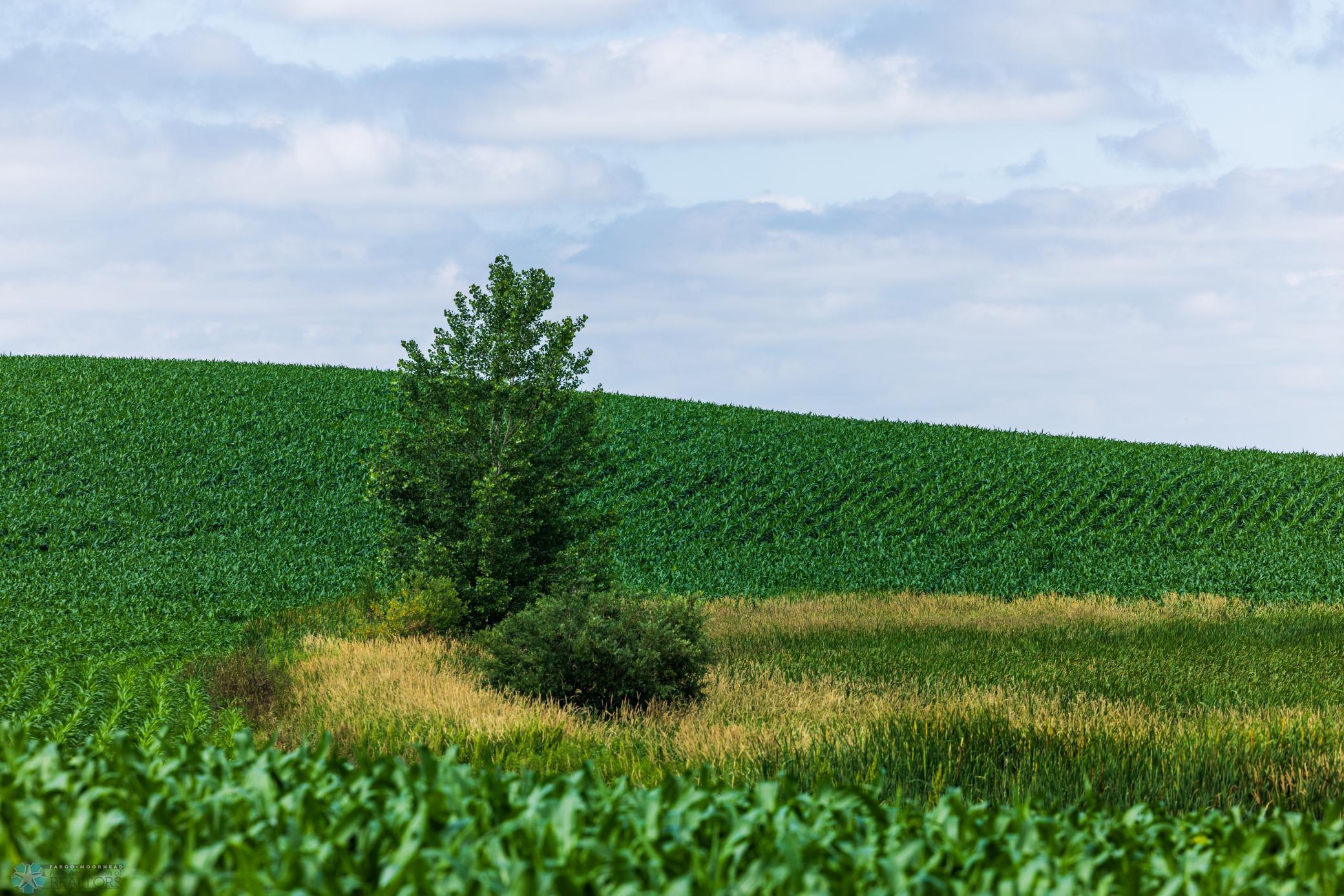 Tbd 370th Street Pelican Rapids, MN 56572 - Photo 41 of 64