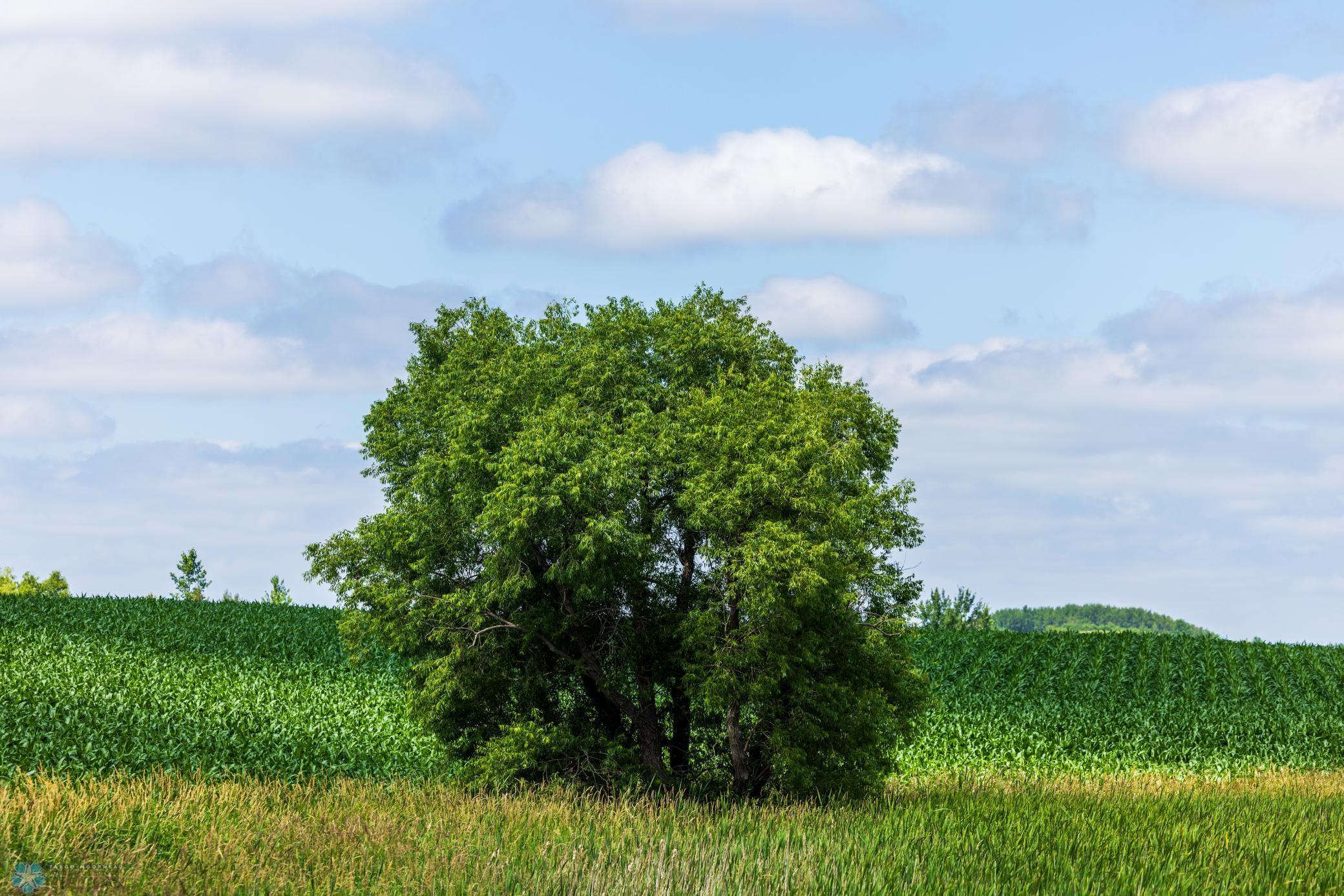 Tbd 370th Street Pelican Rapids, MN 56572 - Photo 42 of 64
