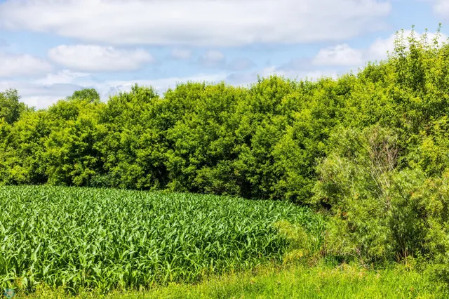 $1 | Tbd Tbd 370th Street, Pelican Rapids, MN 56572