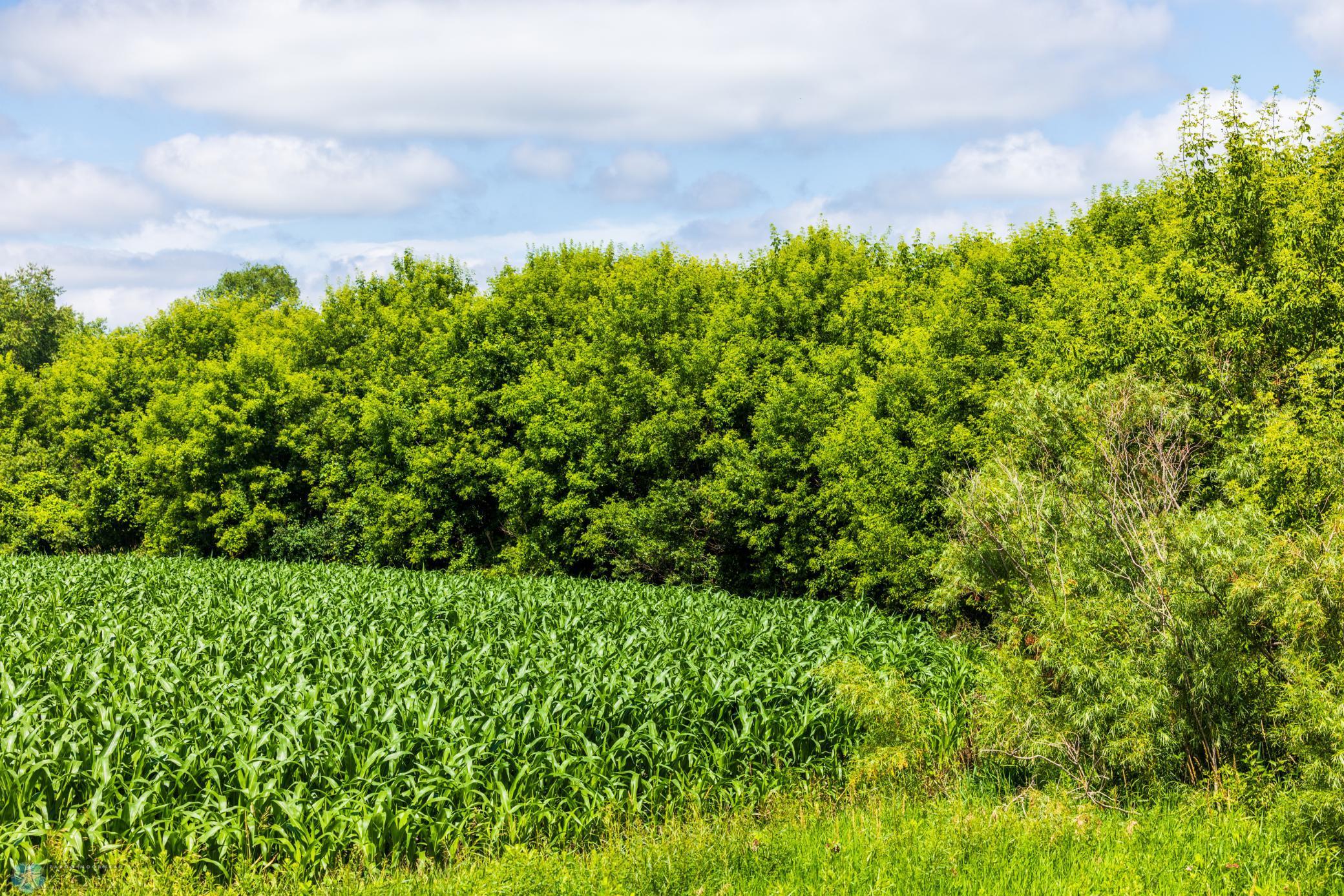Tbd 370th Street Pelican Rapids, MN 56572 - Photo 44 of 64