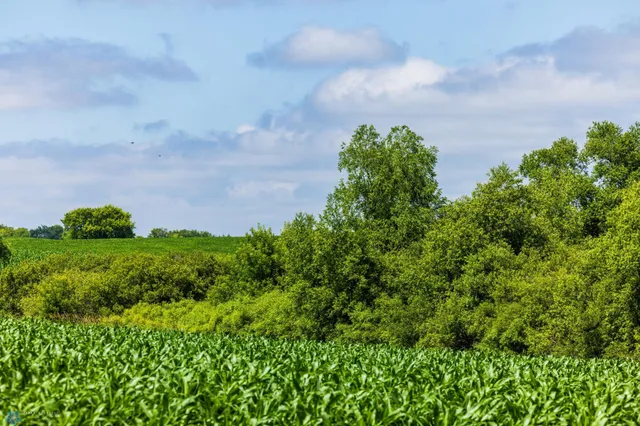 $1 | Tbd Tbd 370th Street, Pelican Rapids, MN 56572