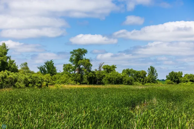 $1 | Tbd Tbd 370th Street, Pelican Rapids, MN 56572
