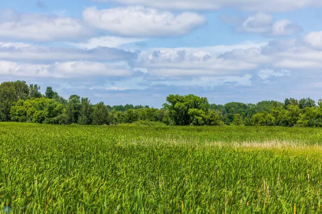 $1 | Tbd Tbd 370th Street, Pelican Rapids, MN 56572
