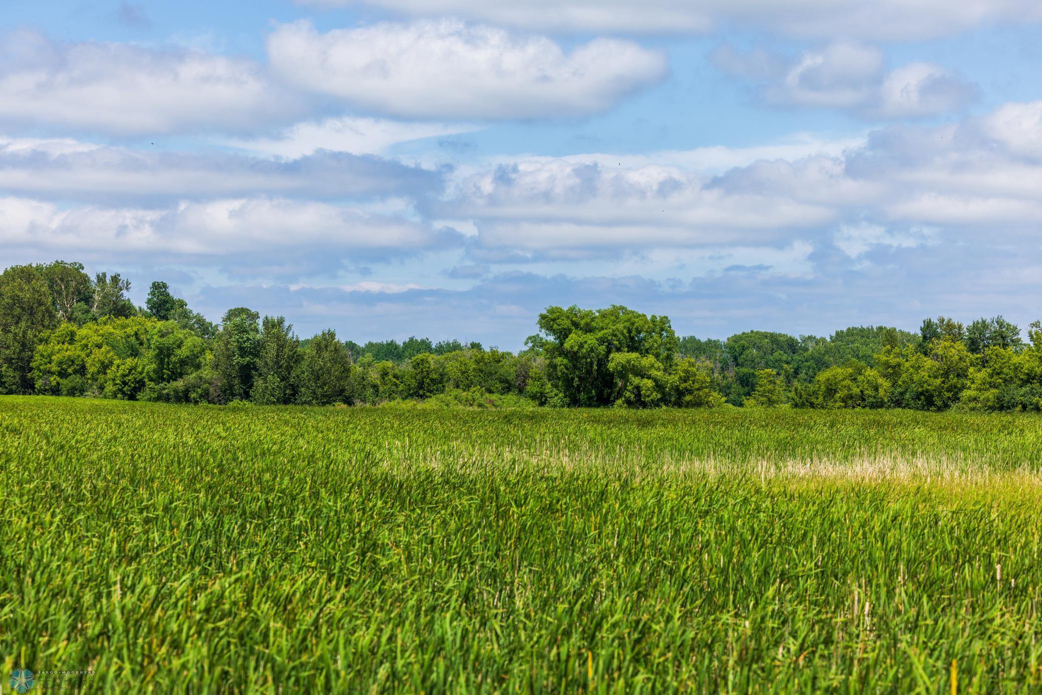 Tbd 370th Street Pelican Rapids, MN 56572 - Photo 47 of 64