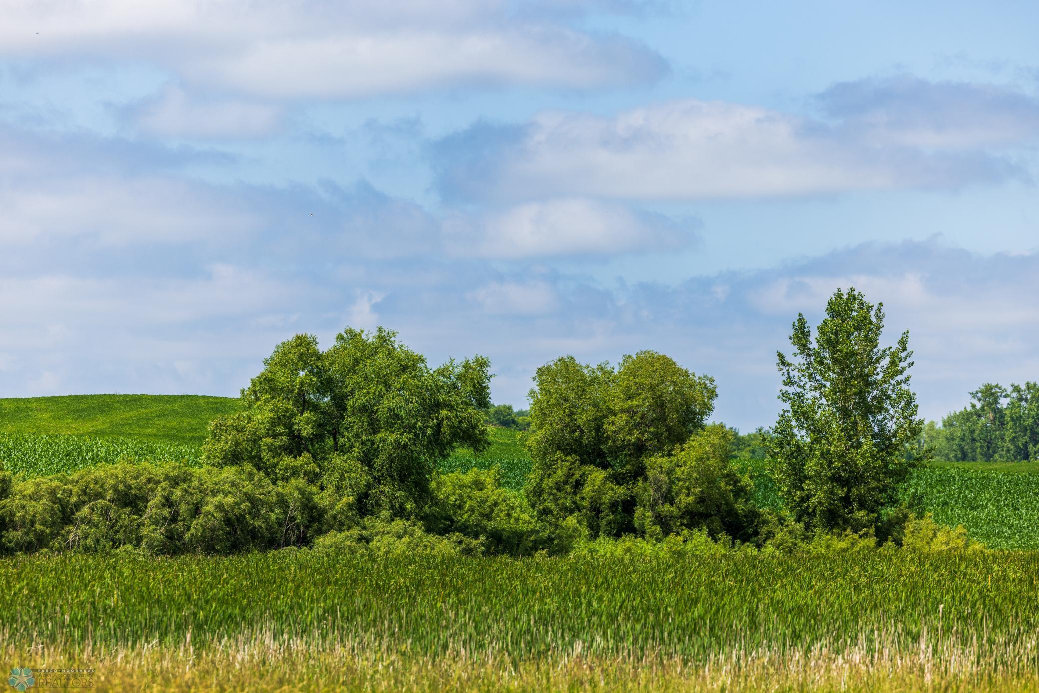 Tbd 370th Street Pelican Rapids, MN 56572 - Photo 48 of 64