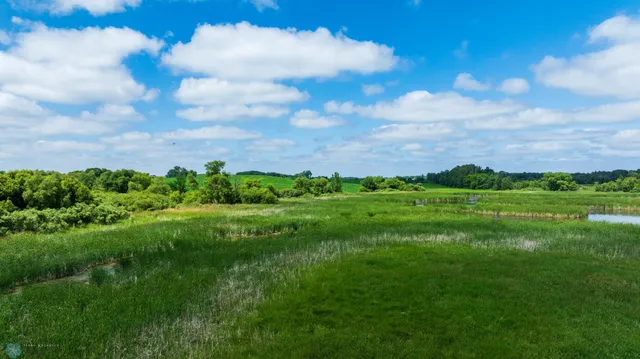 $1 | Tbd Tbd 370th Street, Pelican Rapids, MN 56572