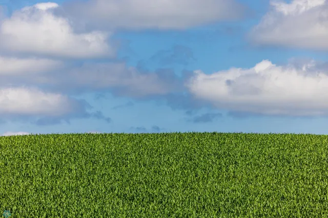 $1 | Tbd Tbd 370th Street, Pelican Rapids, MN 56572