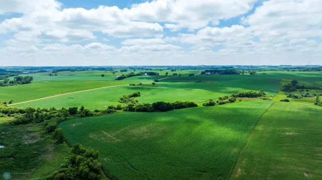 $1 | Tbd Tbd 370th Street, Pelican Rapids, MN 56572