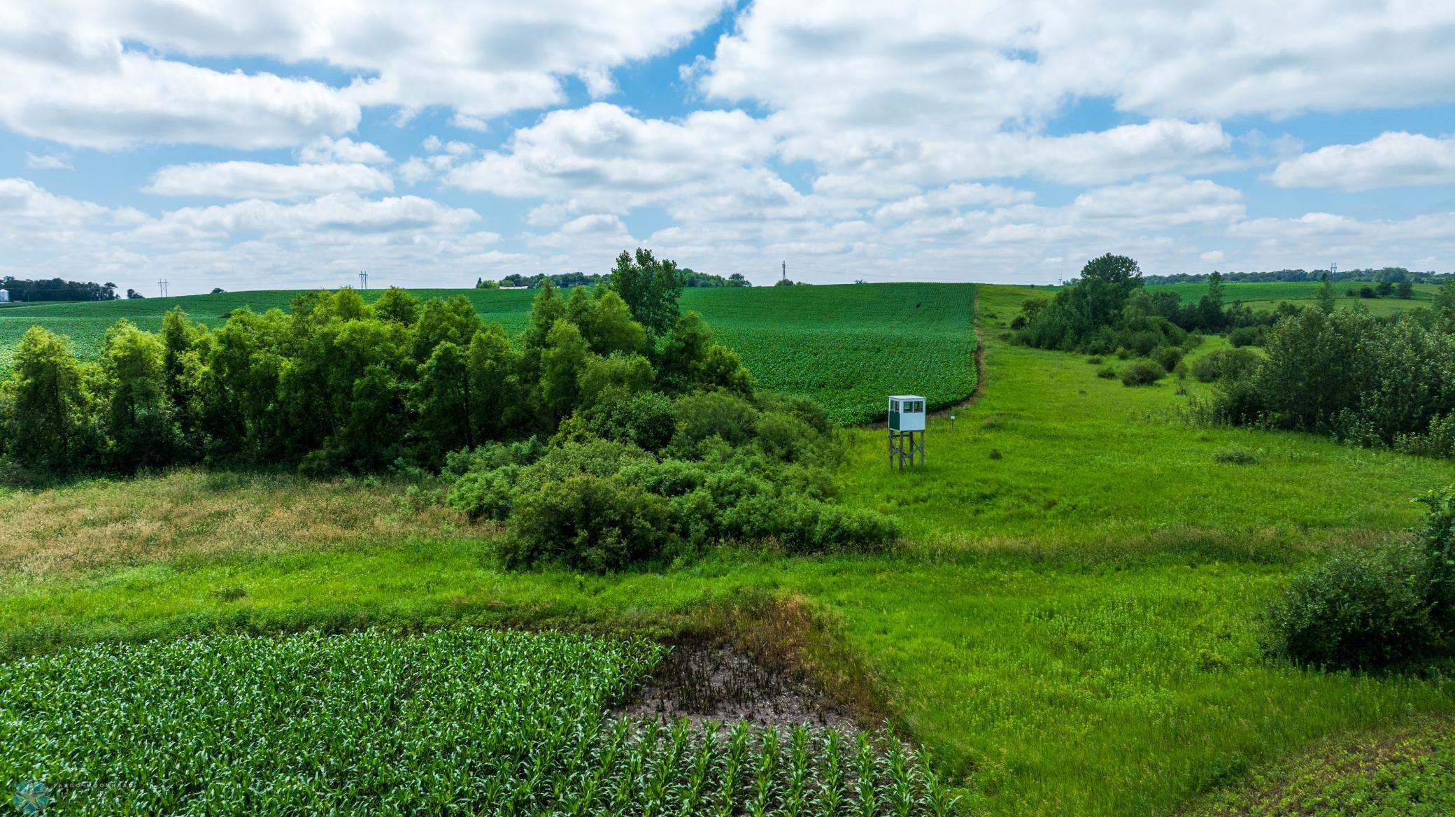 Tbd 370th Street Pelican Rapids, MN 56572 - Photo 56 of 64
