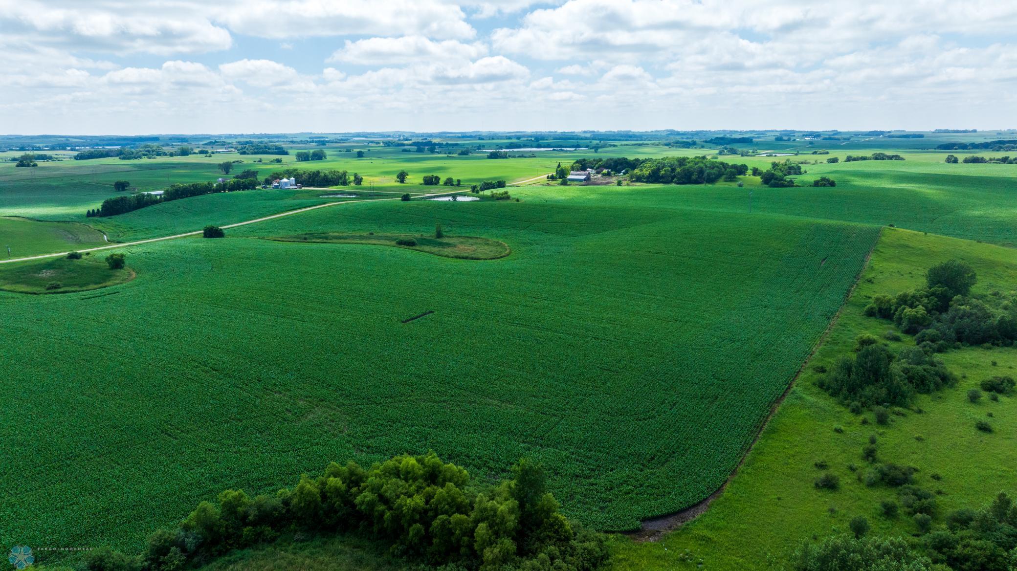 Tbd 370th Street Pelican Rapids, MN 56572 - Photo 58 of 64