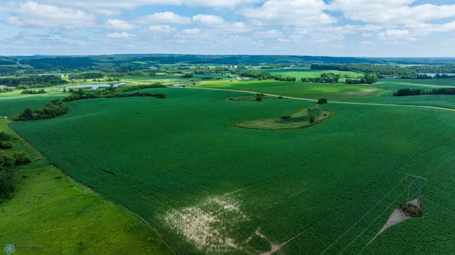 $1 | Tbd Tbd 370th Street, Pelican Rapids, MN 56572