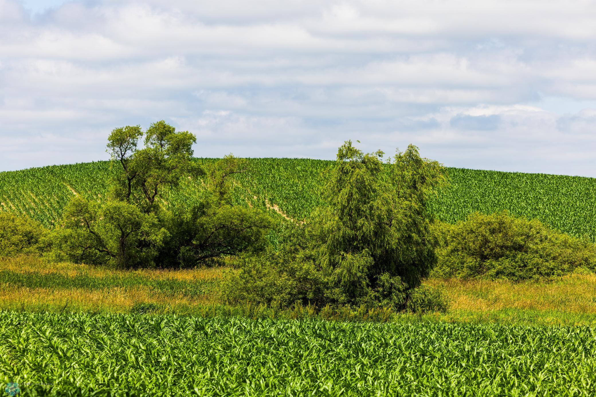 Tbd 370th Street Pelican Rapids, MN 56572 - Photo 7 of 64