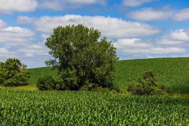 $1 | Tbd Tbd 370th Street, Pelican Rapids, MN 56572