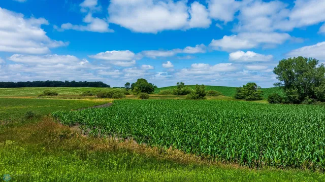 $1 | Tbd Tbd 370th Street, Pelican Rapids, MN 56572