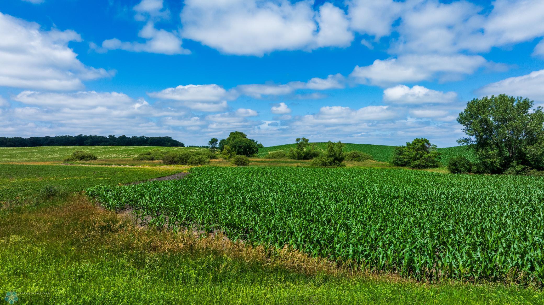 Tbd 370th Street Pelican Rapids, MN 56572 - Photo 10 of 64