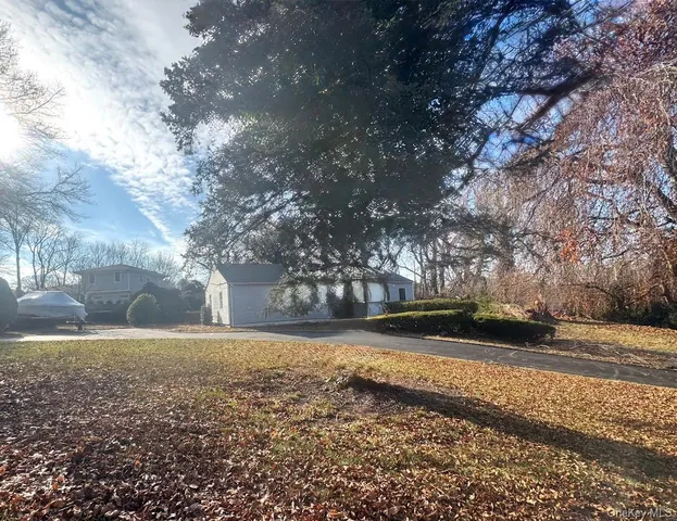 a view of a yard with a tree