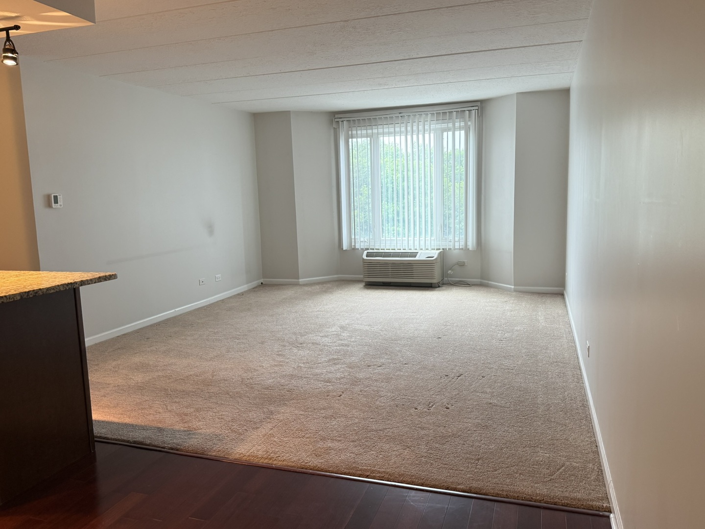 1 Renaissance Place, Unit 304 Palatine, IL 60067 - Photo 7 of 10